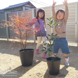 植樹したナンテン、キンモクセイと記念撮影