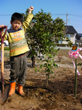 熊本県熊本市レモンとラズベリーの植樹風景