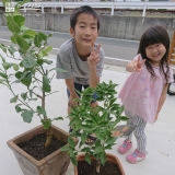 植樹後の記念写真