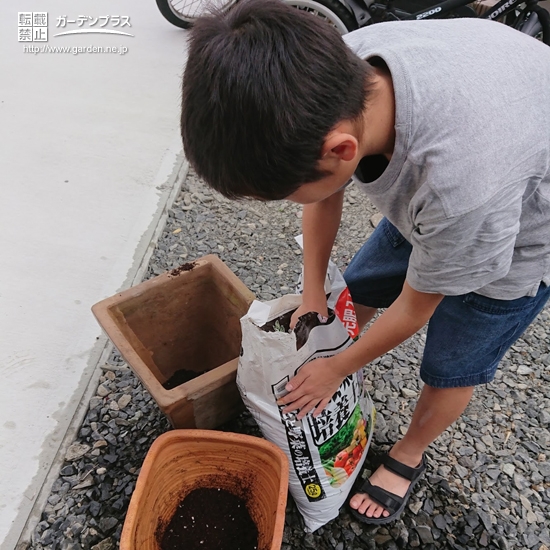 植樹中の様子