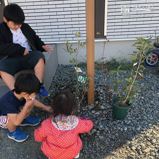 記念樹植樹の様子