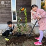 植樹の様子②