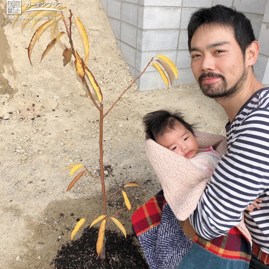 植樹後の記念写真①