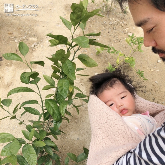 植樹後の記念写真②