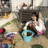 ジューンベリー植樹の様子