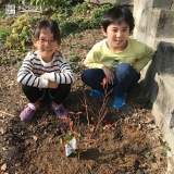 ブルーベリー植樹後の記念写真