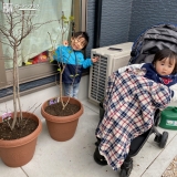 植樹後の記念写真