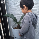 ソテツ植樹後の記念写真②