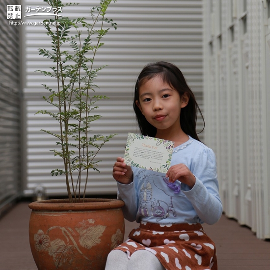 植樹後の記念写真①