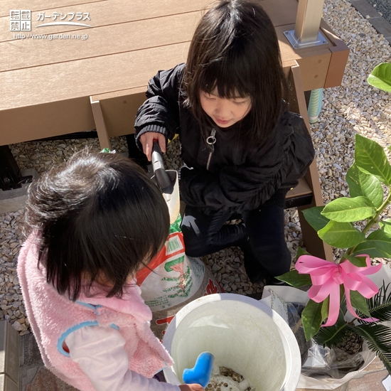 植樹の様子