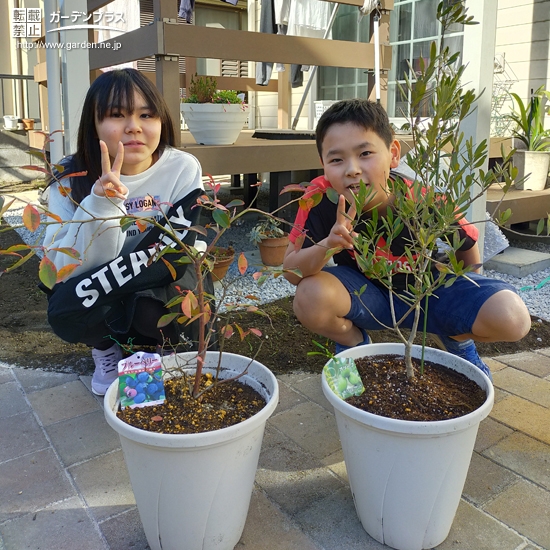 植樹後の記念写真