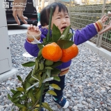 温州ミカン植樹後の記念写真②