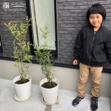 シマトネリコ植樹後の記念写真
