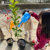 記念樹植樹の様子①