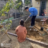 植樹の様子