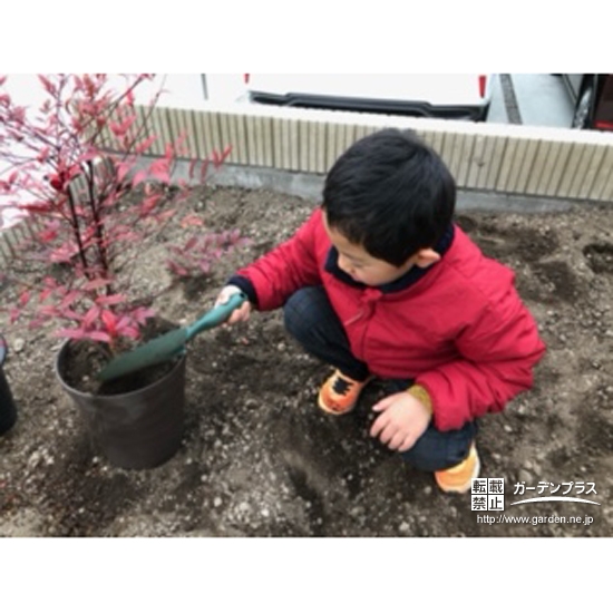 ナンテン植樹の様子