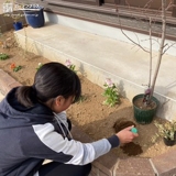 ジューンベリー植樹の様子②