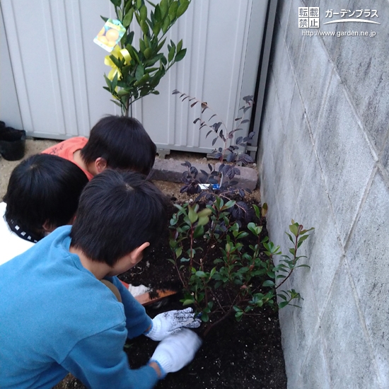 植樹の様子