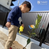 植樹の様子