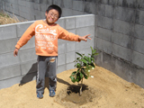 徳島県小松島市レモンの植樹風景