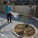 記念樹植樹の様子①