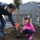 ジューンベリー植樹の様子