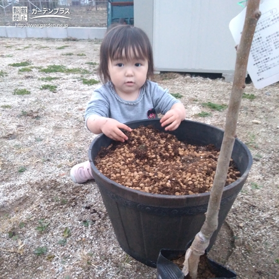 植樹後の記念写真②