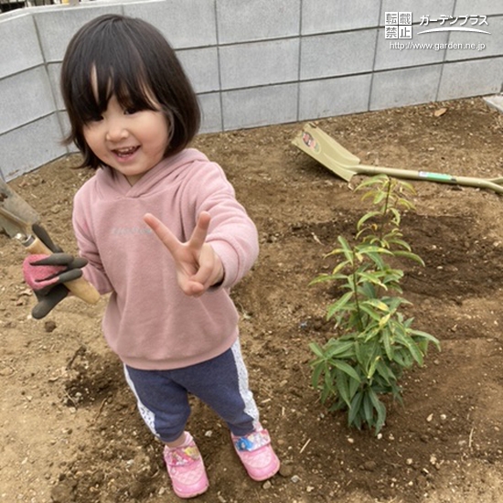 シラカシ植樹後の記念写真