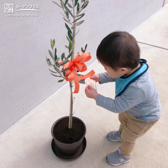 植樹後の記念写真