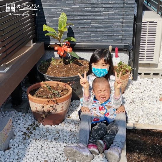 植樹後の記念写真