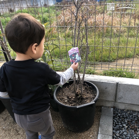 植樹後の記念写真