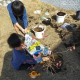 植樹の様子