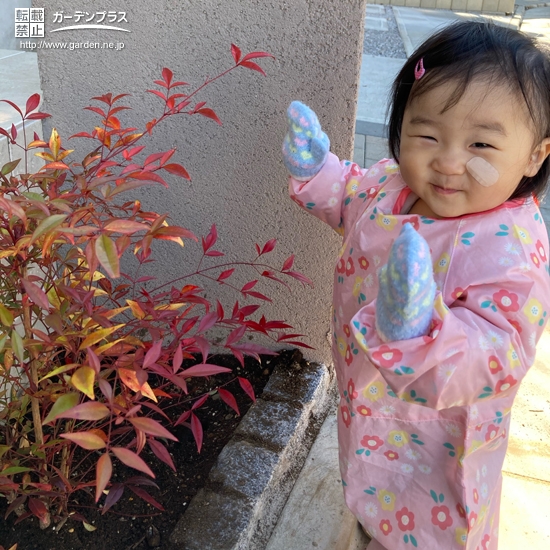 ナンテン植樹後の記念写真①