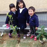 滋賀県大津市ジューンベリーとキンモクセイとビワの植樹風景
