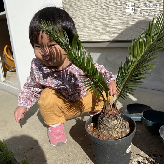 ソテツと記念撮影①