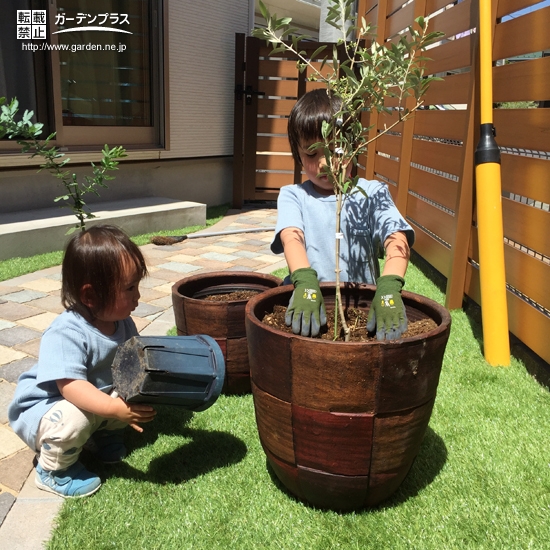 植樹の様子③