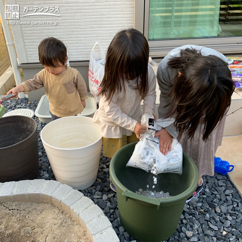 植樹の様子