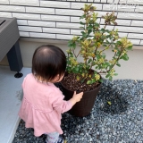 植樹したヒメシャリンバイと記念撮影