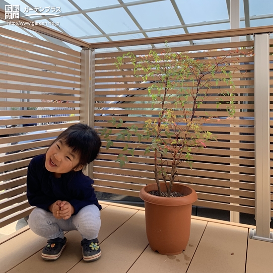 植樹したナンテンと記念撮影