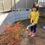 ナンテン植樹の様子①