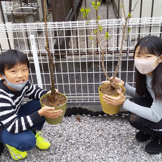 植樹後の記念写真