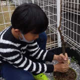 記念樹植樹の様子