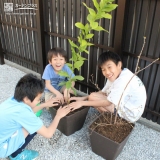 植樹の様子