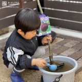 イチジク植樹の様子①
