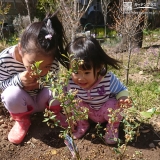 植樹後の記念写真