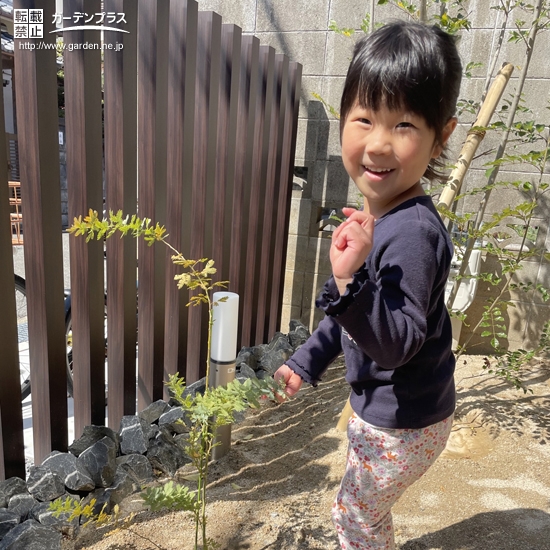 植樹後の記念写真