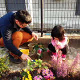 佐賀県鳥栖市ジューンベリーと西洋シャクナゲの植樹風景