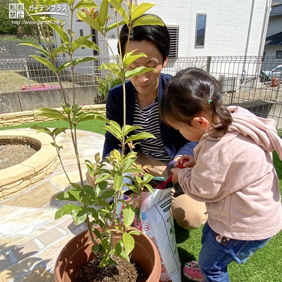 植樹の様子②