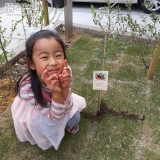 オリーブ植樹後の記念写真