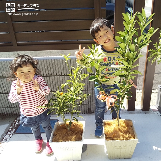 植樹後の記念写真